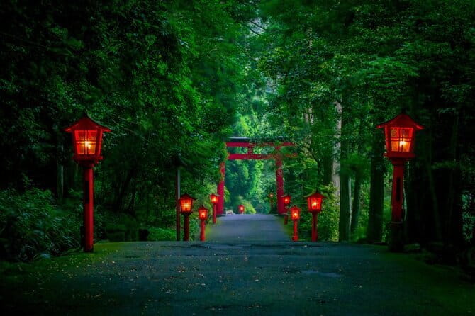 Mt Fuji and Hakone Private Day Tour - Why a private day trip from Tokyo makes sense