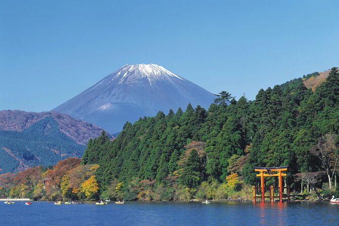 Mt.Fuji and Hakone Private SightSeeing Day Tour With Guide - Quiet forest at Kitaguchi Hongu Fuji Sengen Shrine