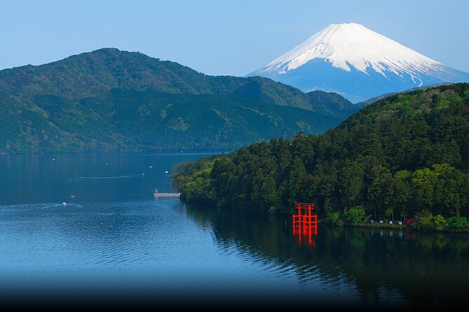 Mt.Fuji and Hakone Private SightSeeing Day Tour With Guide - Riding above Hakone on the Ropeway