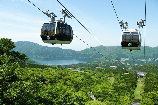 Mt.Fuji and Hakone Private SightSeeing Day Tour With Guide - What the guide and driver add