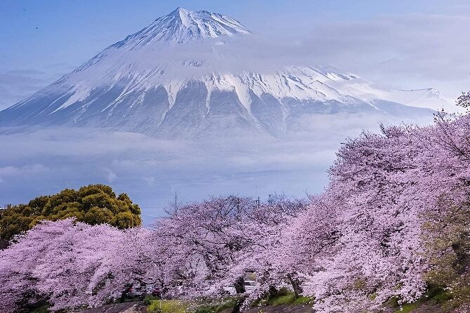 Mt. Fuji and Hakone Private Tour with English Speaking Driver - Key points to know before booking