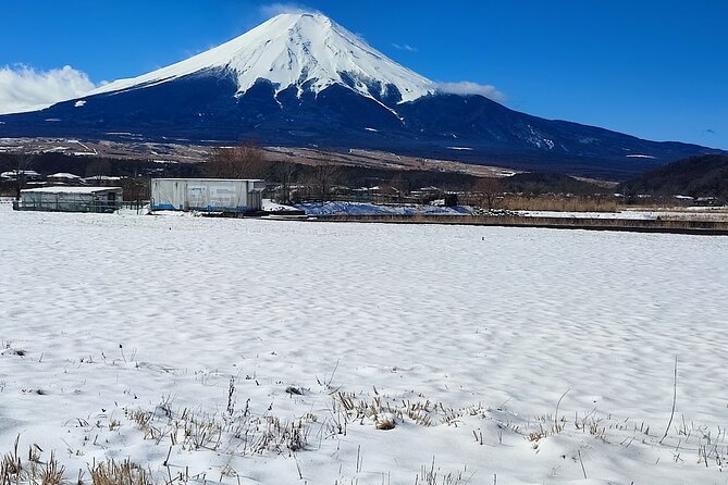 Mt. Fuji and Hakone Private Tour with English Speaking Driver - Why a private Mt. Fuji day works well