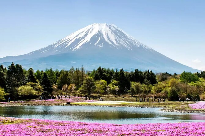 Mt. Fuji and Hakone Private Tour with English Speaking Driver - Lake Ashi and the Hakone side of the day