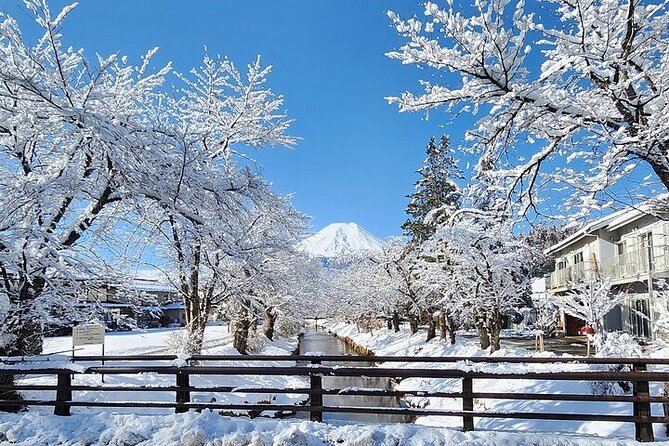 Mt. Fuji and Hakone Private Tour with English Speaking Driver - Oshino Hakkai and Fuji spring water