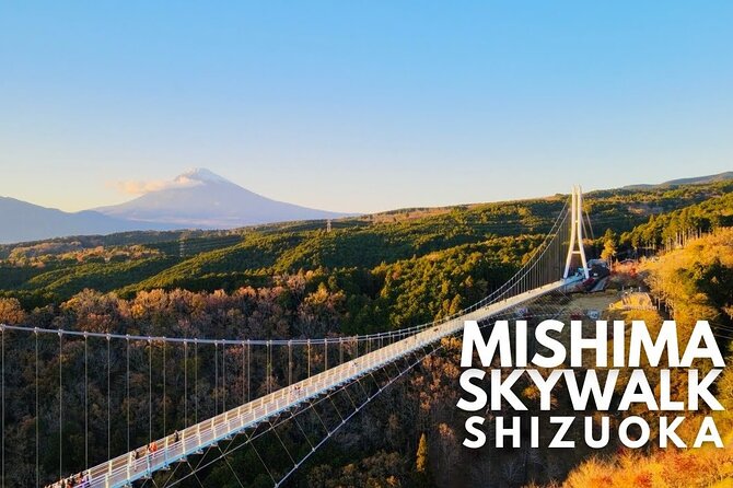 Mt. Fuji and Hakone Private Tour with English Speaking Guide - Hakone Ropeway and the volcanic valley at Owakudani