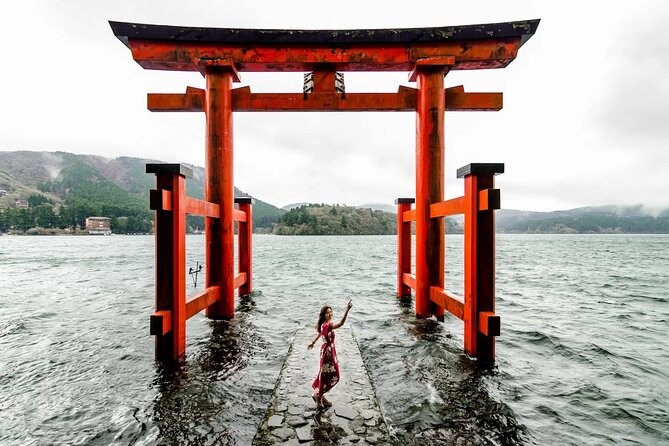Mt. Fuji and Hakone Private Tour with English Speaking Guide - The guide question: driver, guide, or both?