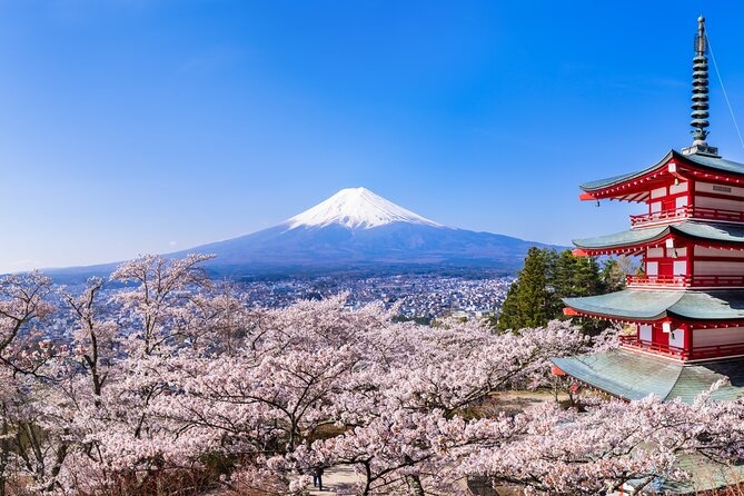 Mt.Fuji and Hakone Tour - Mt. Fuji 5th Station: a high starting point