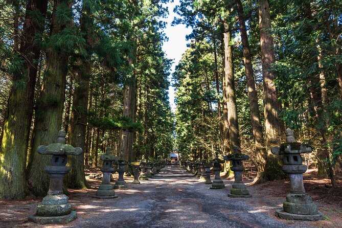 Mt.Fuji and Hakone Tour - Hakone Shrine and its lakefront torii