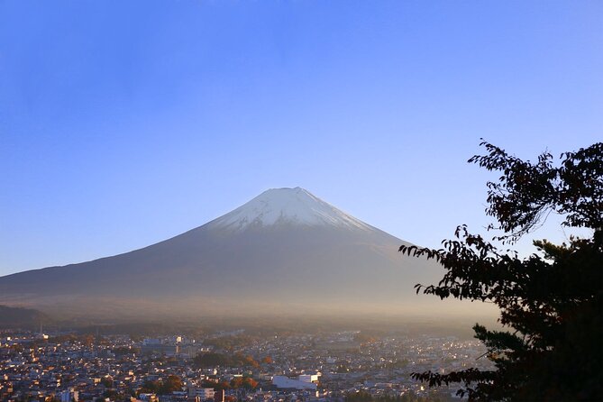 Mt. Fuji and Lake Kawaguchi Day Trip with Private Car - The Mt. Fuji Panoramic Ropeway