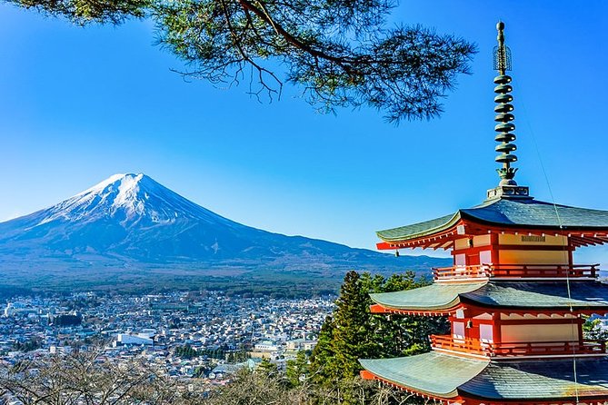 Mt. Fuji Area Tour Tokyo DEP: English Speaking Driver, No Guide - Why a private car makes sense for Mount Fuji