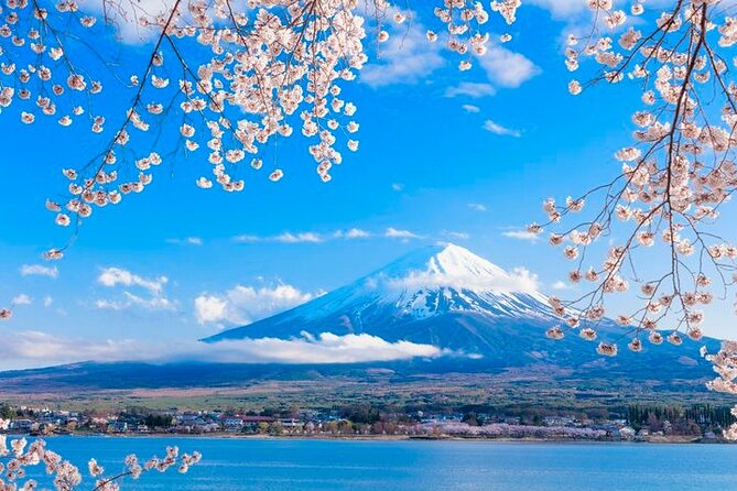 Mt. Fuji Area Tour Tokyo DEP: English Speaking Driver, No Guide - Lake Yamanaka and the Fuji Five Lakes