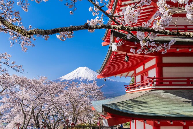 Mt. Fuji Area Tour Tokyo DEP: English Speaking Driver, No Guide - What the English-speaking driver can and cannot provide