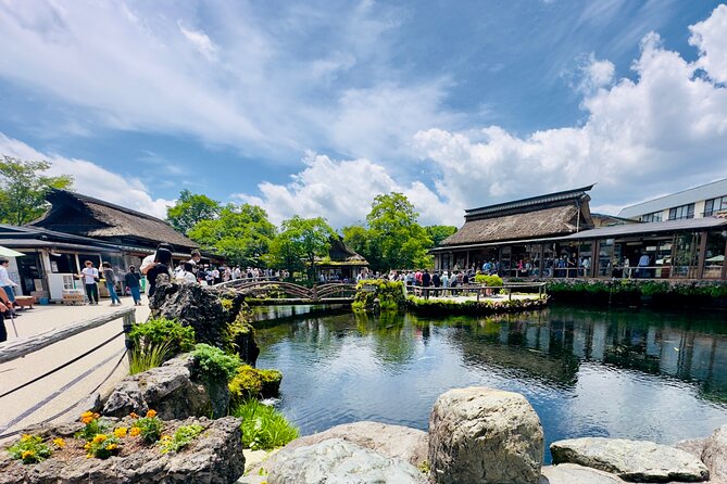 Mt. Fuji, Cherry Blossom & Shiba Sakura Pvt. Day Tour - What the guide service is really like