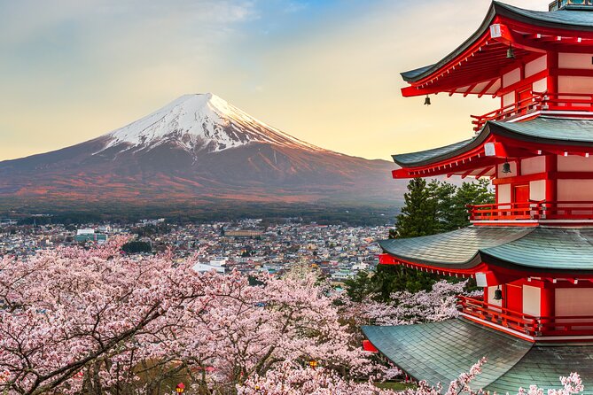 Mt Fuji Customizable Private Tour English Speaking Driver Pick-up - Arakura Fuji Sengen Shrine and Chureito Pagoda
