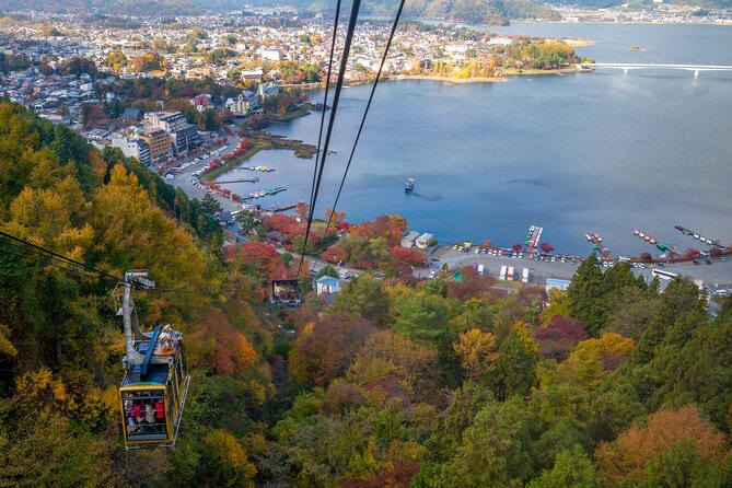Mt Fuji Customizable Private Tour English Speaking Driver Pick-up - Lake Yamanaka and the broadest Fuji views