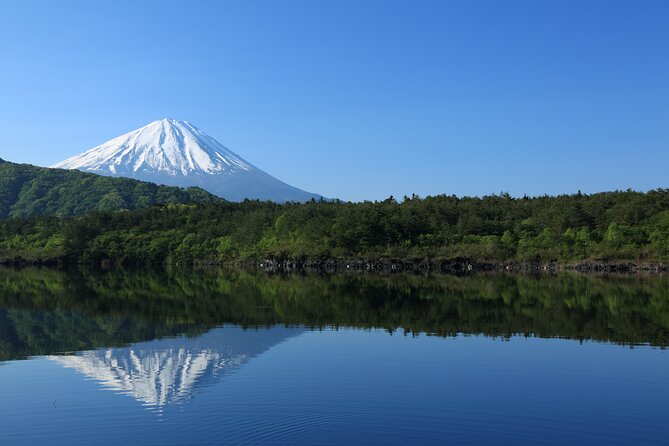 Mt Fuji Customizable Private Tour English Speaking Driver Pick-up