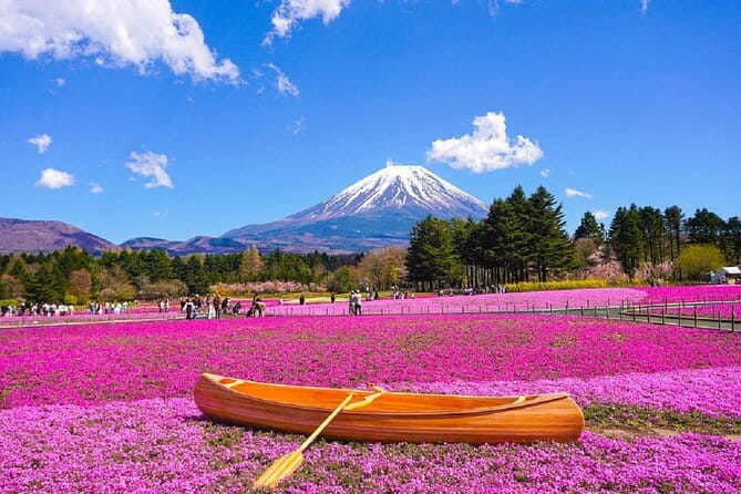 Mt. Fuji Day tour: Kawaguchi Lake Ropeway, Matcha, Oshino Hakkai - A full Fuji day from Tokyo