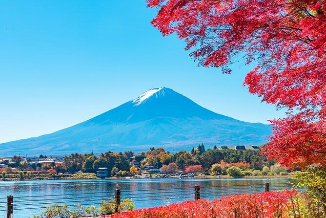 Mt. Fuji Day tour: Kawaguchi Lake Ropeway, Matcha, Oshino Hakkai - The journey to Kawaguchiko