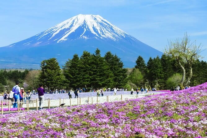 Mt. Fuji Day tour: Kawaguchi Lake Ropeway, Matcha, Oshino Hakkai - Lake Kawaguchi and the short matcha lesson