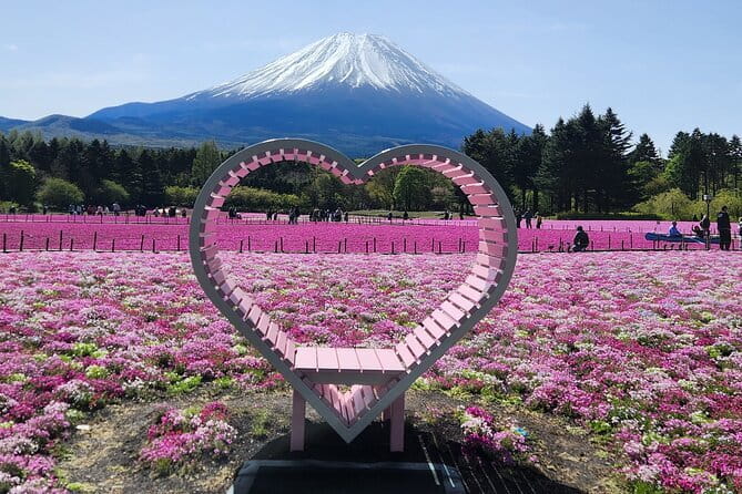 Mt. Fuji Day tour: Kawaguchi Lake Ropeway, Matcha, Oshino Hakkai - The guides make a big difference