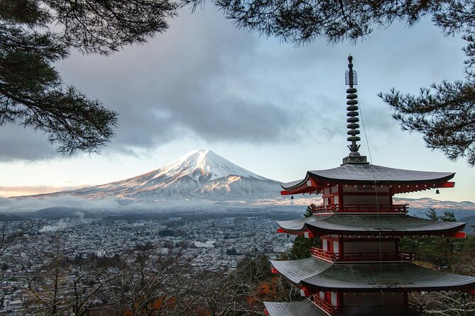 Mt FUJI Day Tour with Private Car and English Speaking Guide - Key points to know before booking