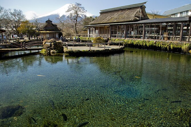 Mt FUJI Day Tour with Private Car and English Speaking Guide - Why a private car makes sense for Mt. Fuji