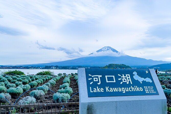 Mt FUJI Day Tour with Private Car and English Speaking Guide - Kitaguchi Hongu Fuji Sengen Jinja