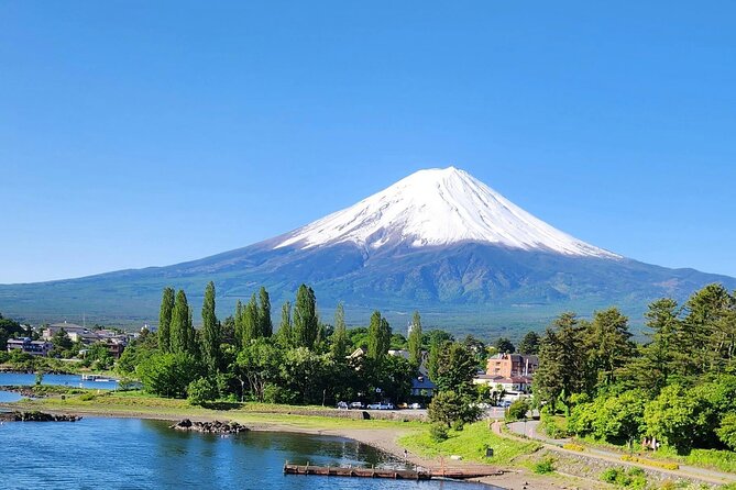 Mt FUJI Day Tour with Private Car and English Speaking Guide