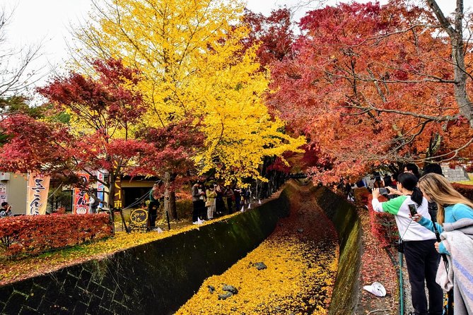 Mt Fuji Day Trip from Tokyo by Car with Photographer Guide - Saiko Iyashi no Sato Nemba and thatched-roof Japan