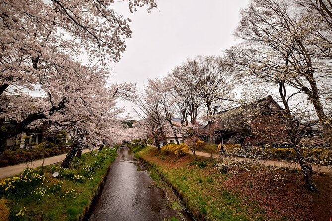 Mt Fuji Day Trip from Tokyo by Car with Photographer Guide - The weather problem is real