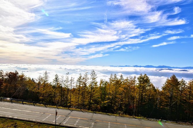 Mt Fuji Day Trip from Tokyo by Car with Photographer Guide - Is $1,150 good value for your group?