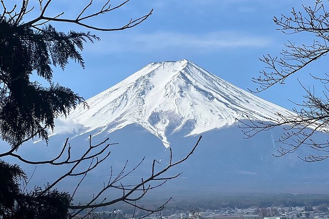 Mt. Fuji Day Trip from Tokyo with English Speaking Driver Guide - Oshino Hakkai adds an old village and spring water