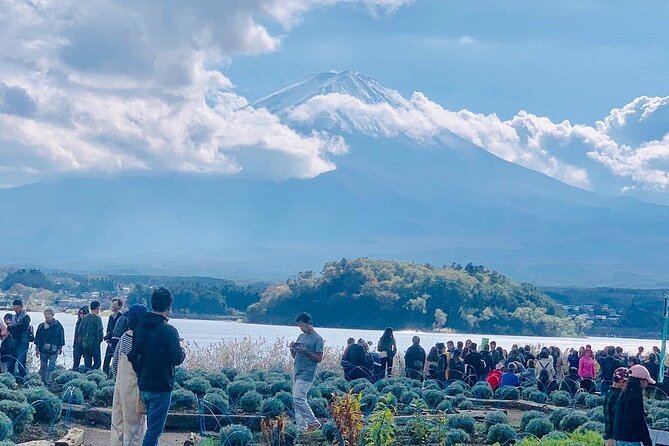 Mt. Fuji Day Trip from Tokyo with English Speaking Driver Guide