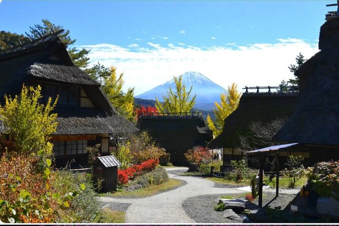 Mt Fuji Exclusive Tour with Private Car English Guide - Oishi Park: flowers, lake views, and a useful snack stop