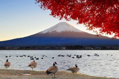 Mt Fuji Exclusive Tour with Private Car English Guide - Hotel pickup and the long ride west