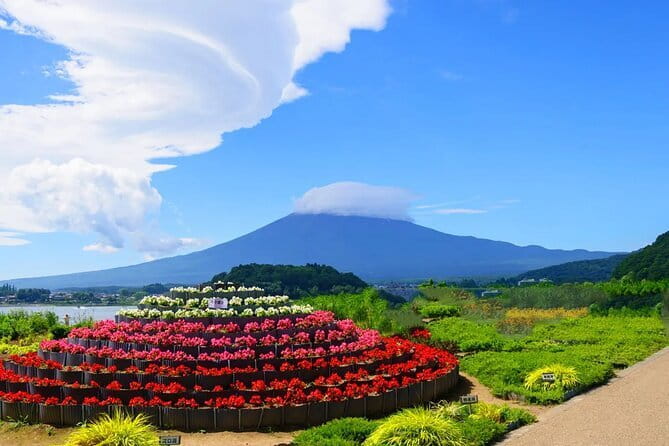 Mt Fuji Exploration Tour with Free Japanese Kusa Mochi from Tokyo - Key points to know before booking