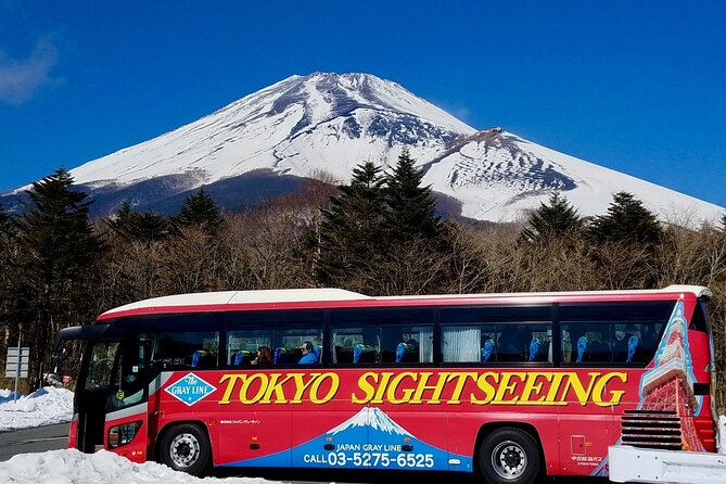 Mt. Fuji & Hakone Bus Tour Bullet Train Return & 28-Hotel Pick-up - Key points to know before booking