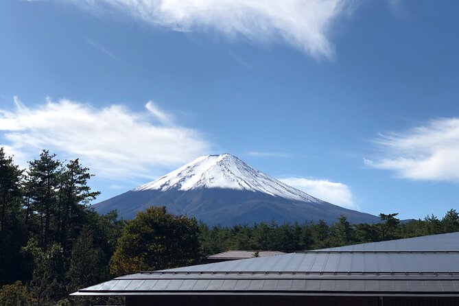 Mt. Fuji & Hakone Bus Tour Bullet Train Return & 28-Hotel Pick-up - Why this Tokyo day trip works