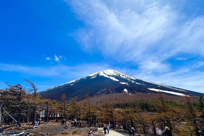 Mt. Fuji & Hakone Bus Tour Bullet Train Return & 28-Hotel Pick-up - Gotemba lunch and the case for upgrading