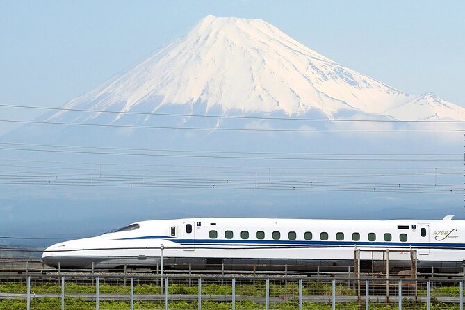 Mt. Fuji & Hakone Bus Tour Bullet Train Return & 28-Hotel Pick-up - Mt. Fuji 5th Station, the morning highlight