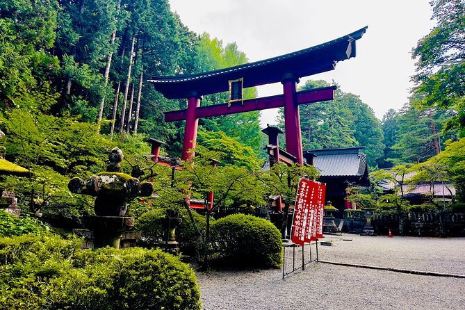 Mt. Fuji & Hakone Cherry Blossom private One Day Tour - One long day from Tokyo to the Fuji Five Lakes