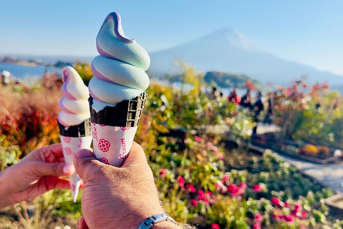 Mt. Fuji & Hakone Cherry Blossom private One Day Tour - Oshino Hakkai and its clear spring ponds