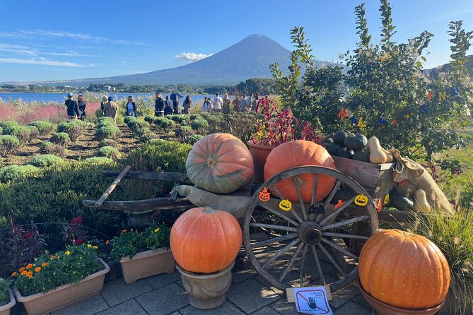 Mt. Fuji & Hakone Cherry Blossom private One Day Tour - Hakone Moto Hakone Shrine and the Torii of Peace