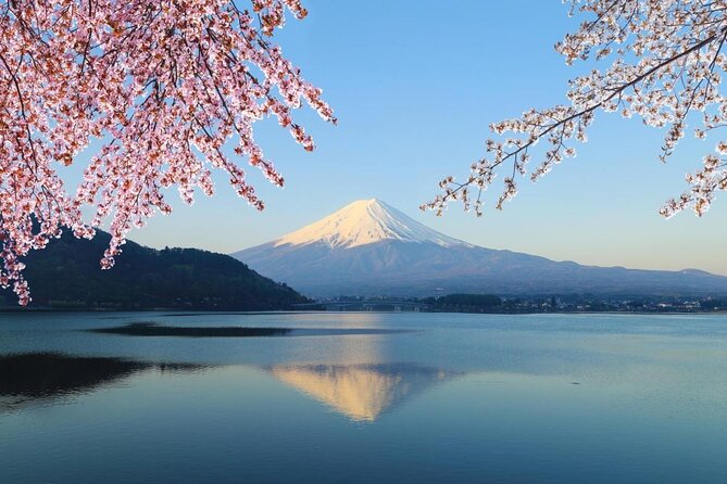 Mt Fuji & Hakone Cruise, Drum Show Bullet Train 1 Day from Tokyo - Key points at a glance