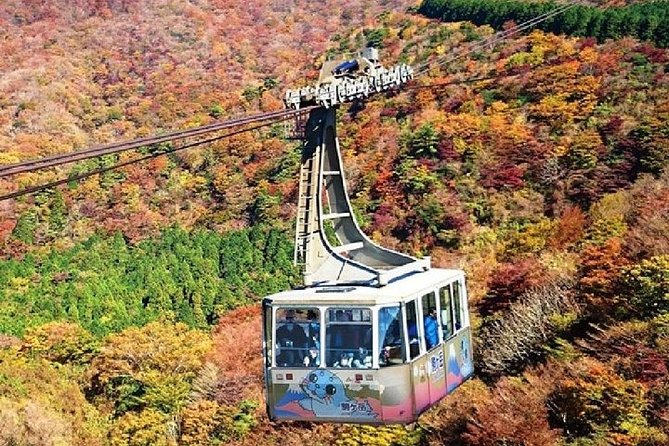 Mt Fuji & Hakone Cruise, Drum Show Bullet Train 1 Day from Tokyo - Lunch, local flavors, and wadaiko drums