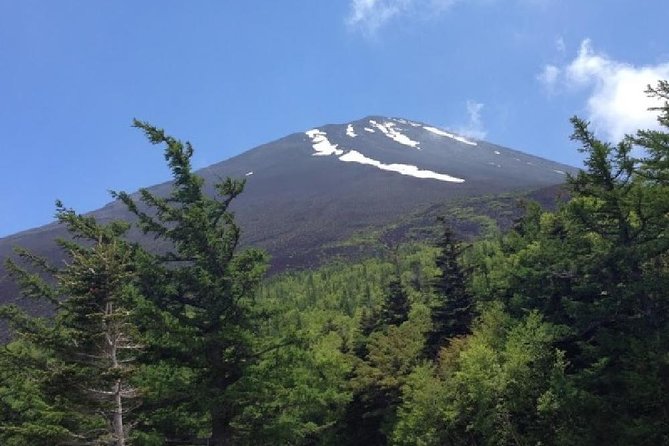 Mt Fuji & Hakone Cruise, Drum Show Bus 1 Day from Tokyo - Guides, commentary, and the group experience