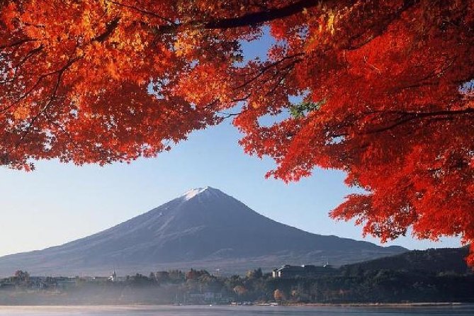 Mt Fuji & Hakone Cruise, Drum Show Bus 1 Day from Tokyo - How much value do you get for $122.55?