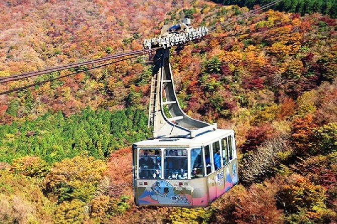 Mt Fuji & Hakone Cruise, Drum Show Bus 1 Day from Tokyo - Timing, drop-offs, and the long ride home
