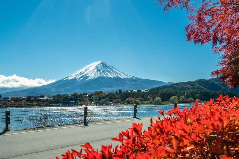 Mt.Fuji Hakone Day Tour With Lake Ashi Cruise, FREE Ropeway - Lake Yamanaka and the swan photographs