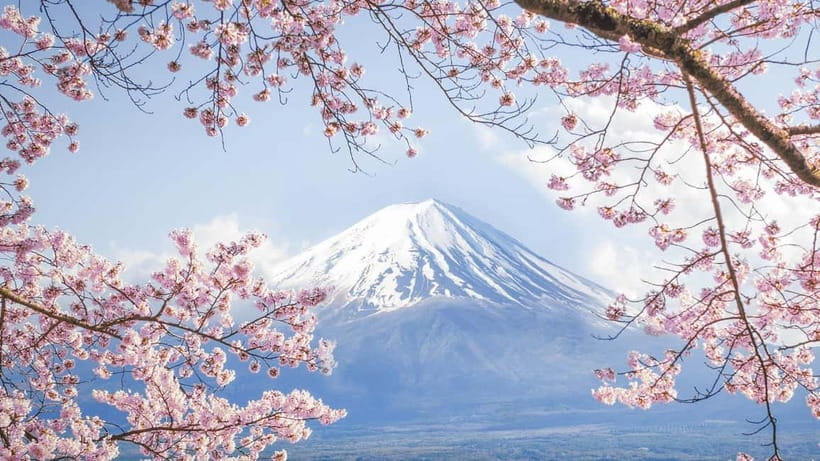 Mt.Fuji Hakone Day Tour With Lake Ashi Cruise, FREE Ropeway - Lunch: plan before you leave